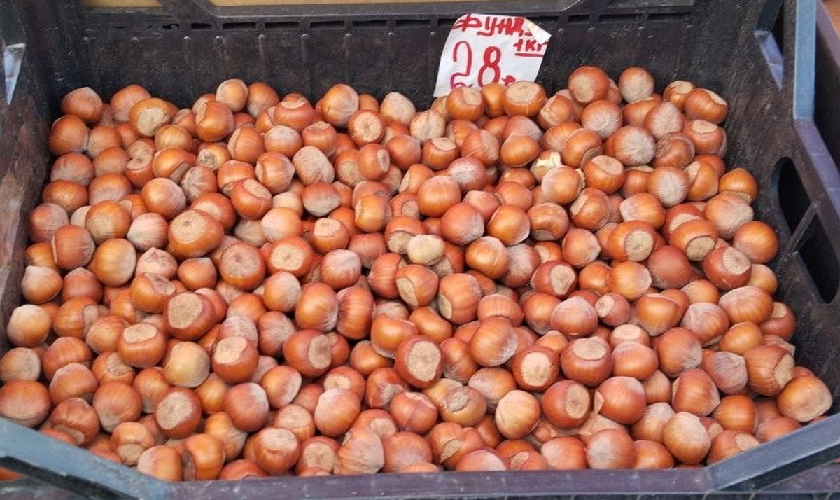 фундук