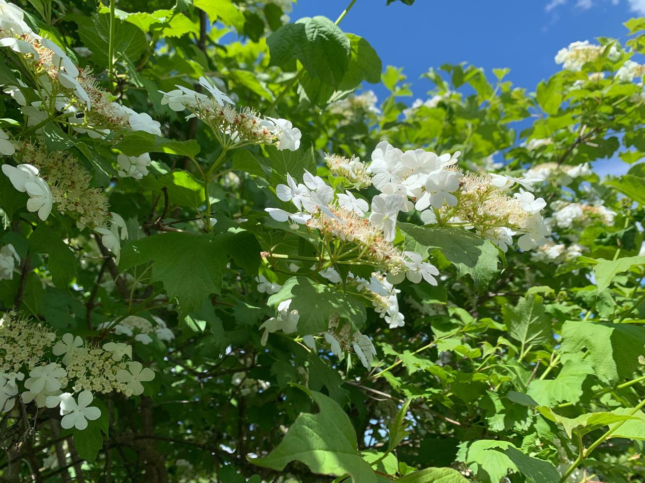 photo 2026 06 02 12 09 41