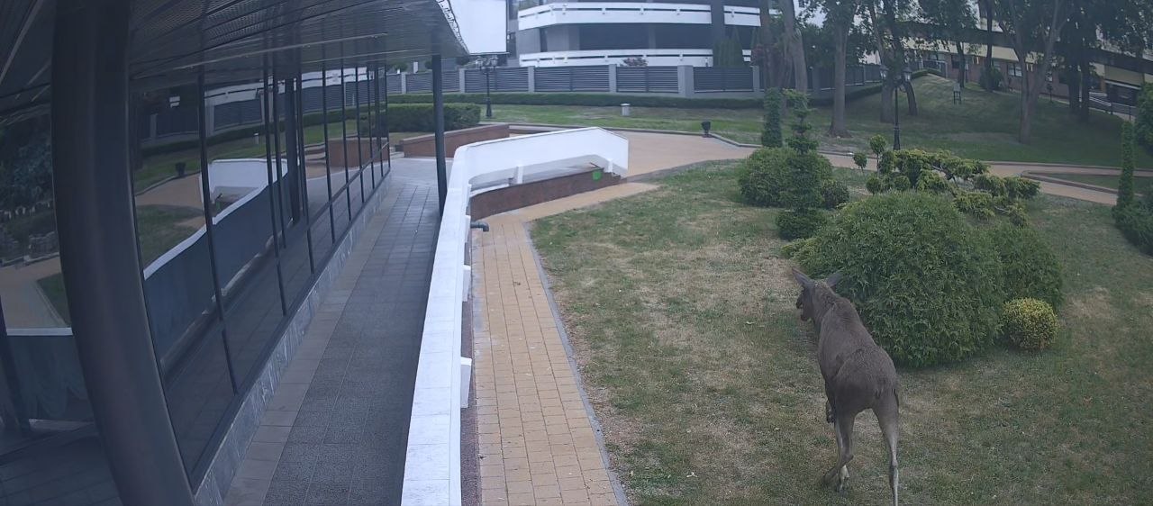 photo 2026 06 02 17 31 44