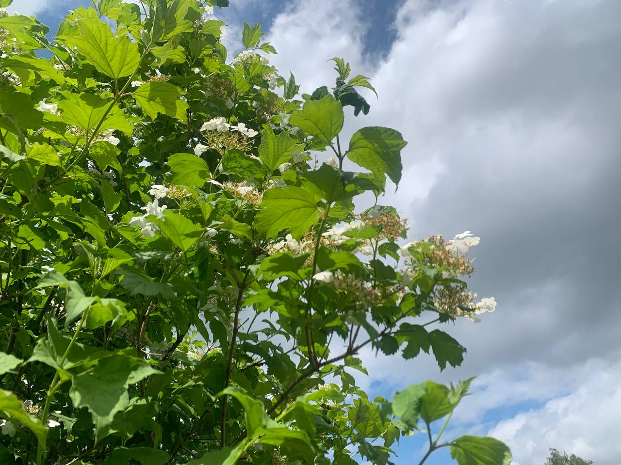 photo 2026 06 04 13 29 49