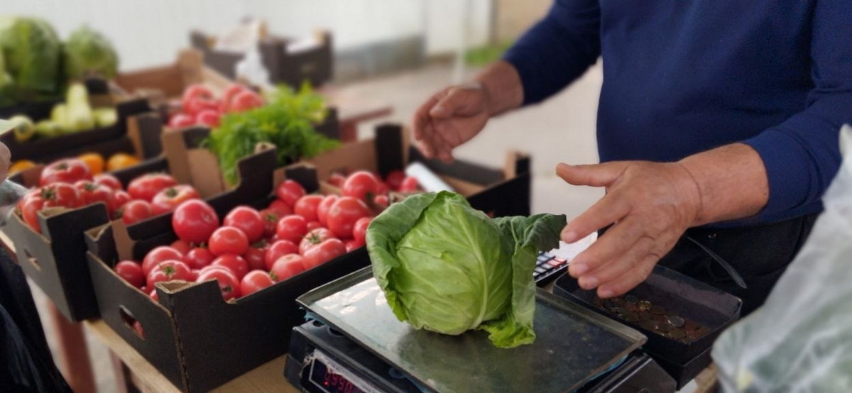 продавец взвешивает капусту