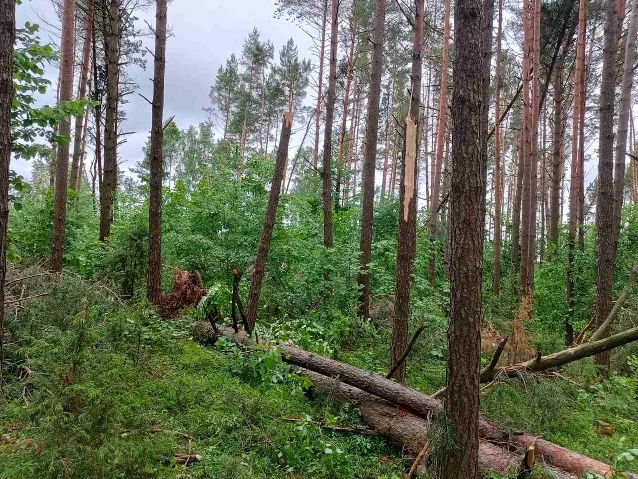 photo 2026 06 12 13 45 45