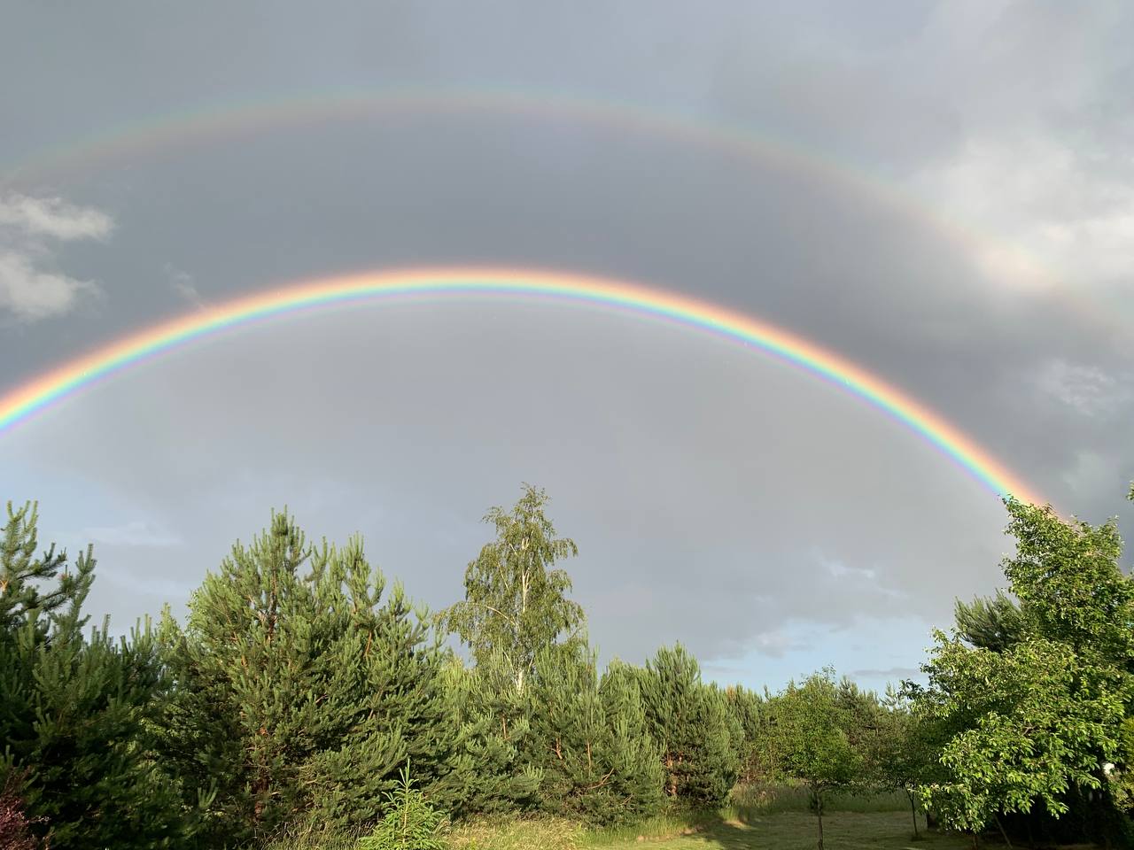 photo 2026 06 14 20 26 28