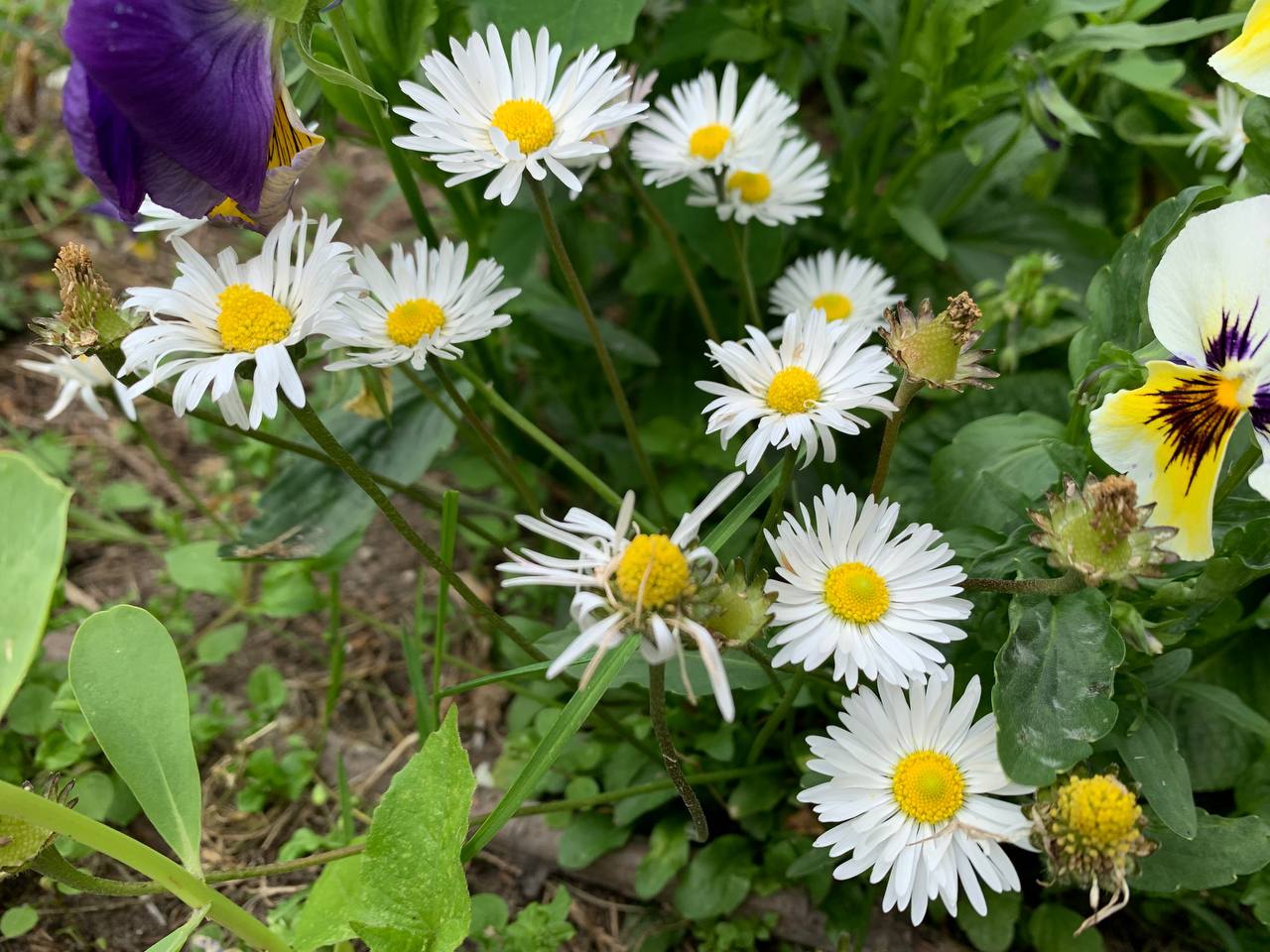 photo 2026 06 19 11 50 16