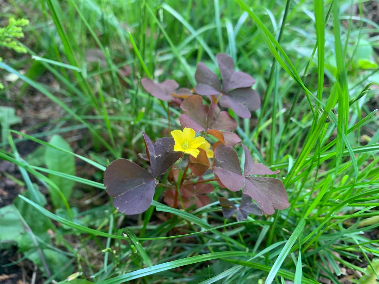 photo 2026 06 23 12 31 08