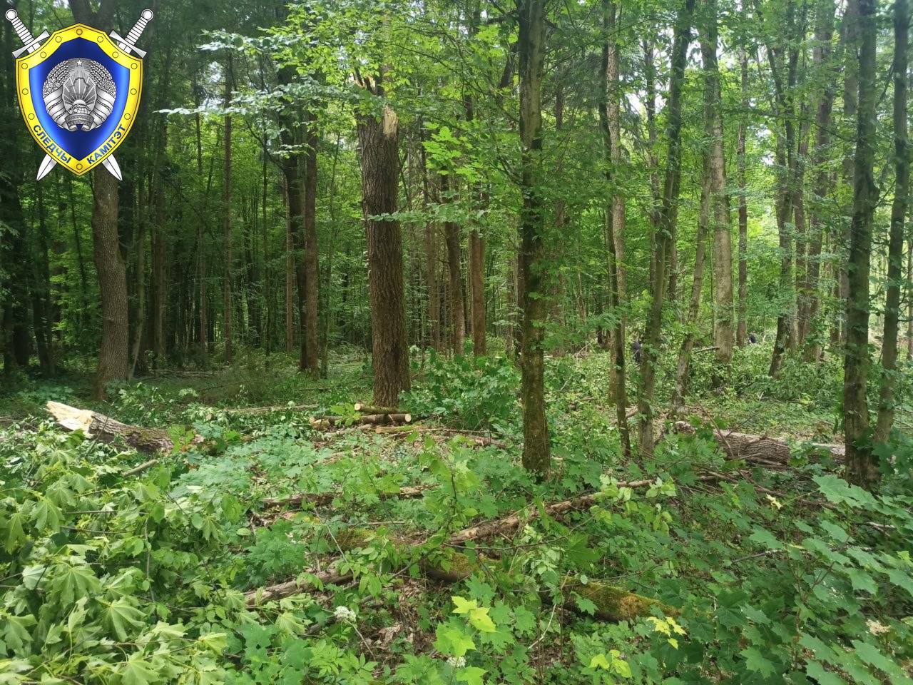 photo 2026 06 23 13 48 58