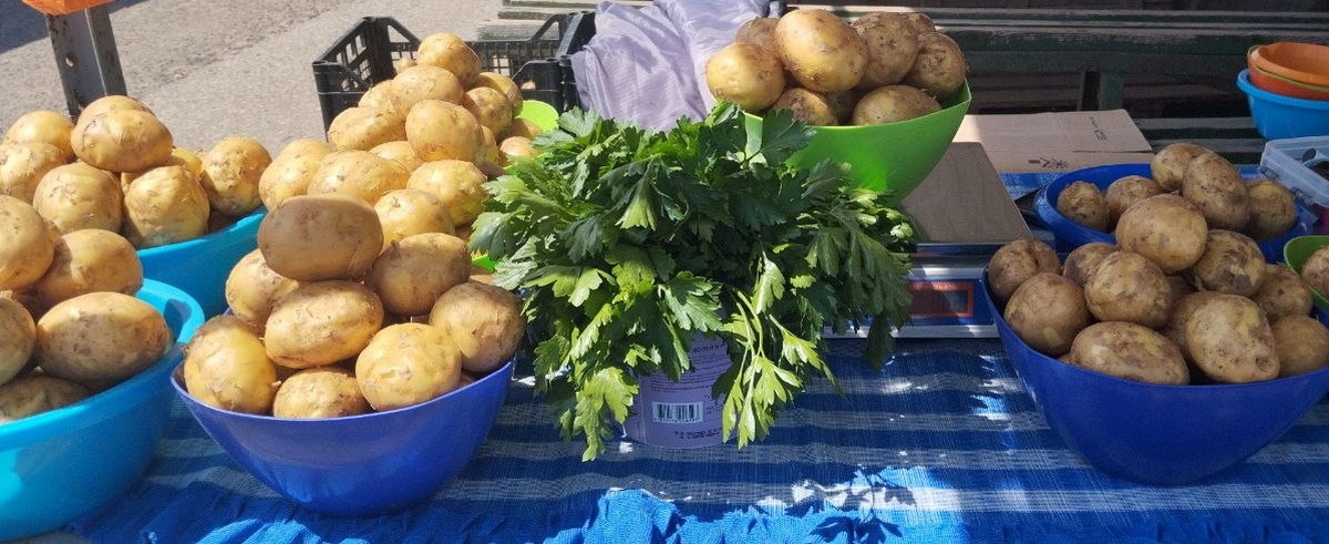 молодой картофель