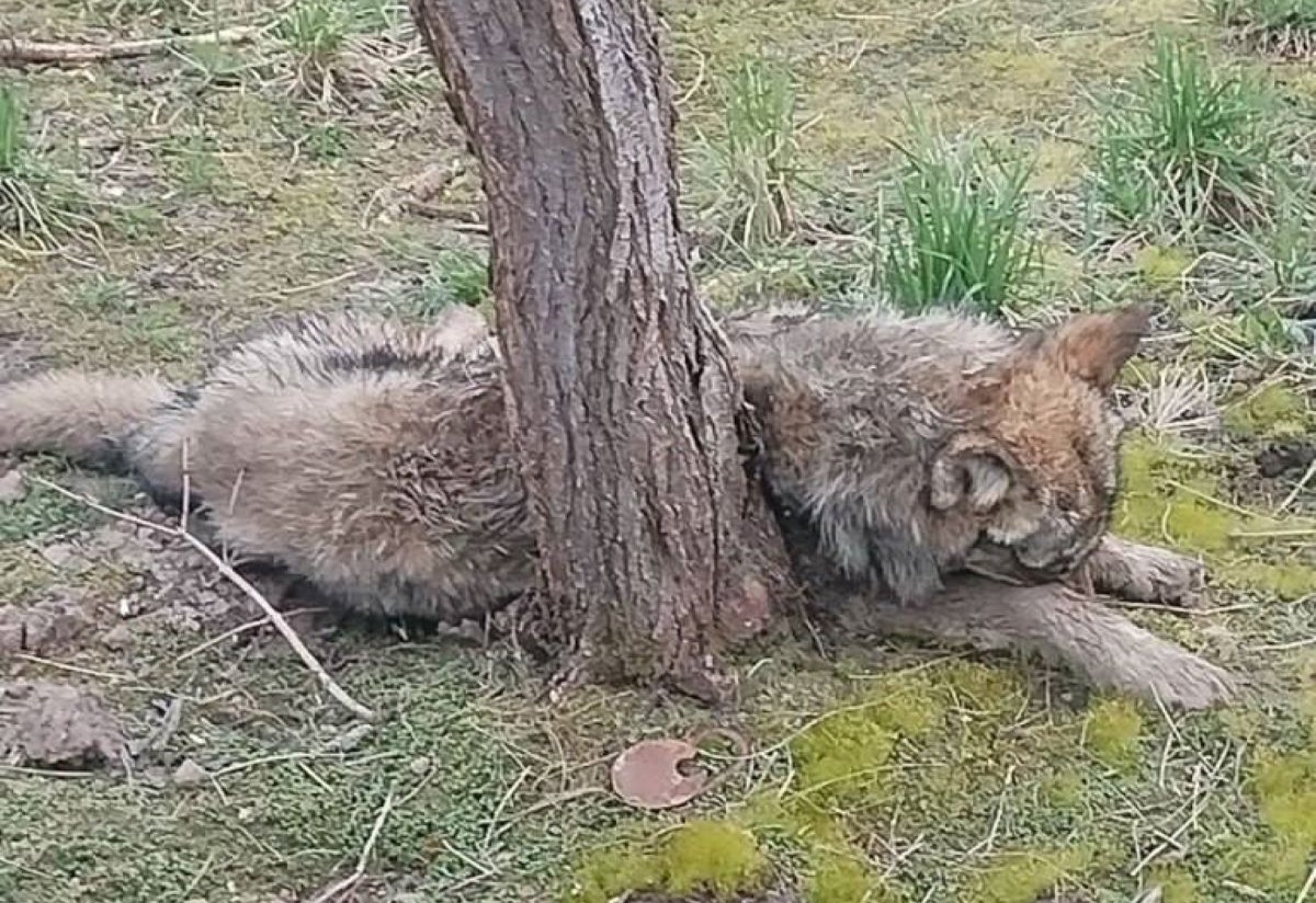 photo 2026 06 25 10 10 56