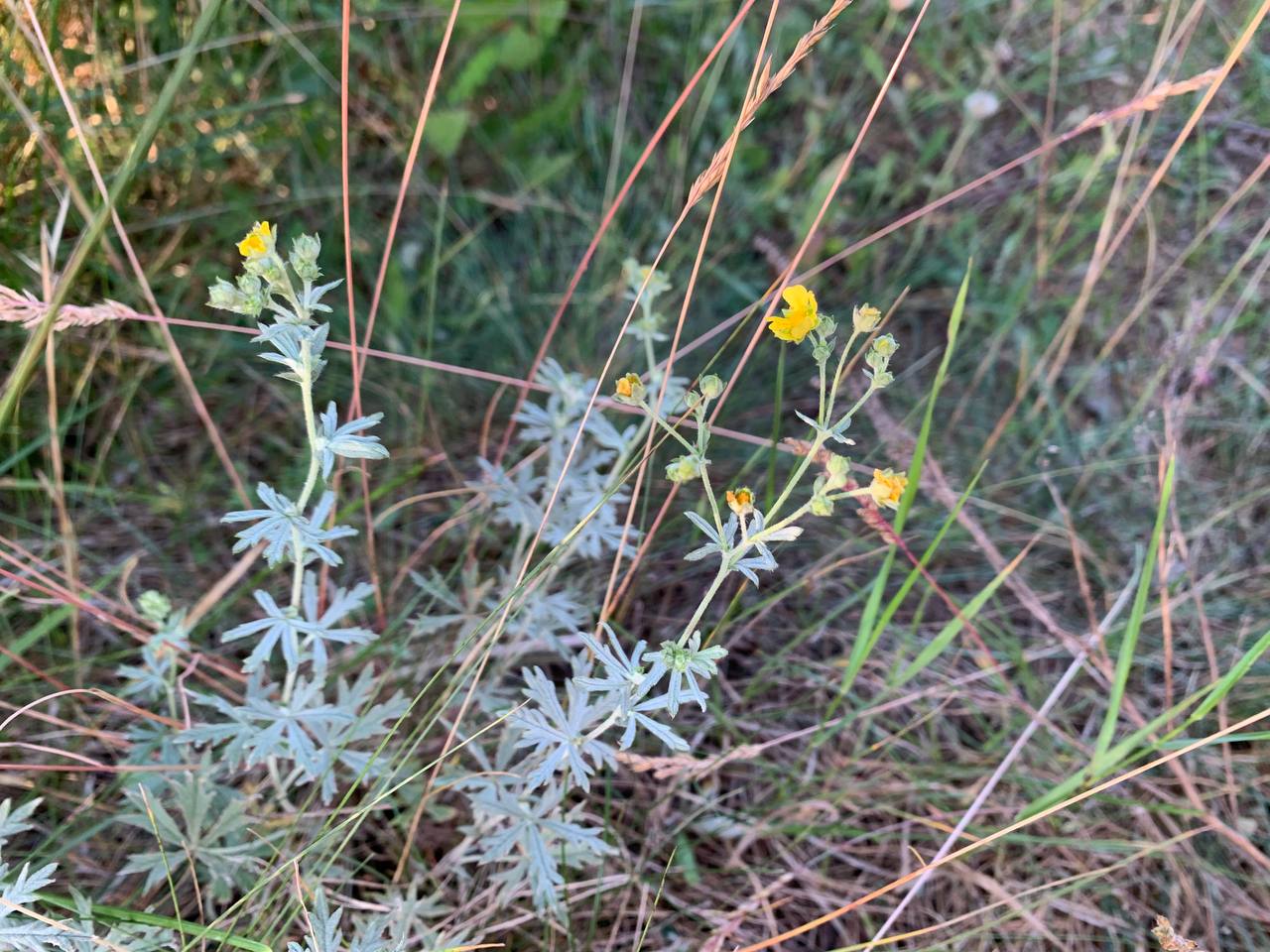 photo 2026 06 25 20 02 19
