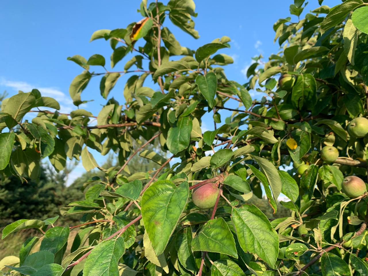photo 2026 06 25 20 02 37
