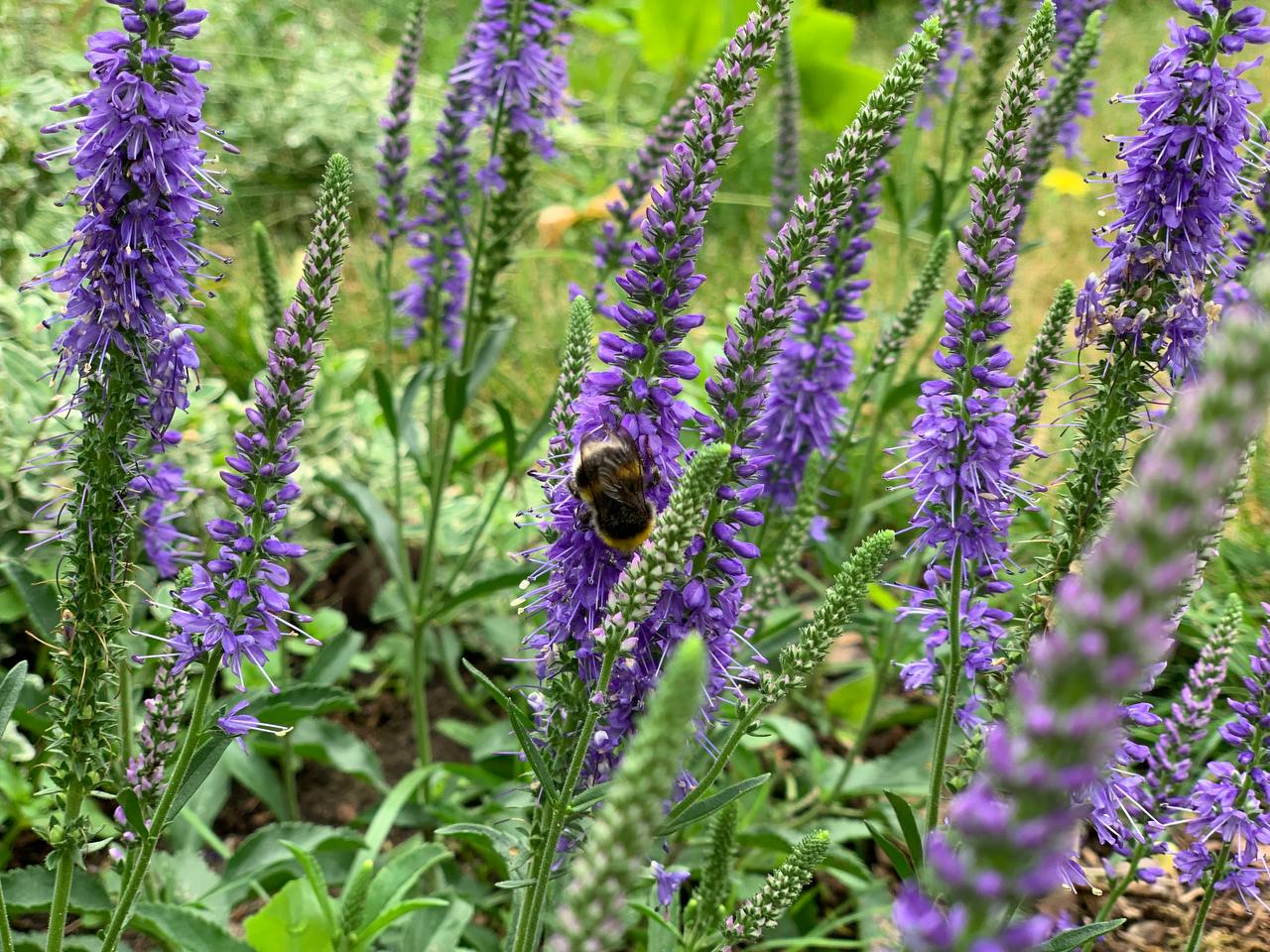 photo 2026 07 02 12 46 51