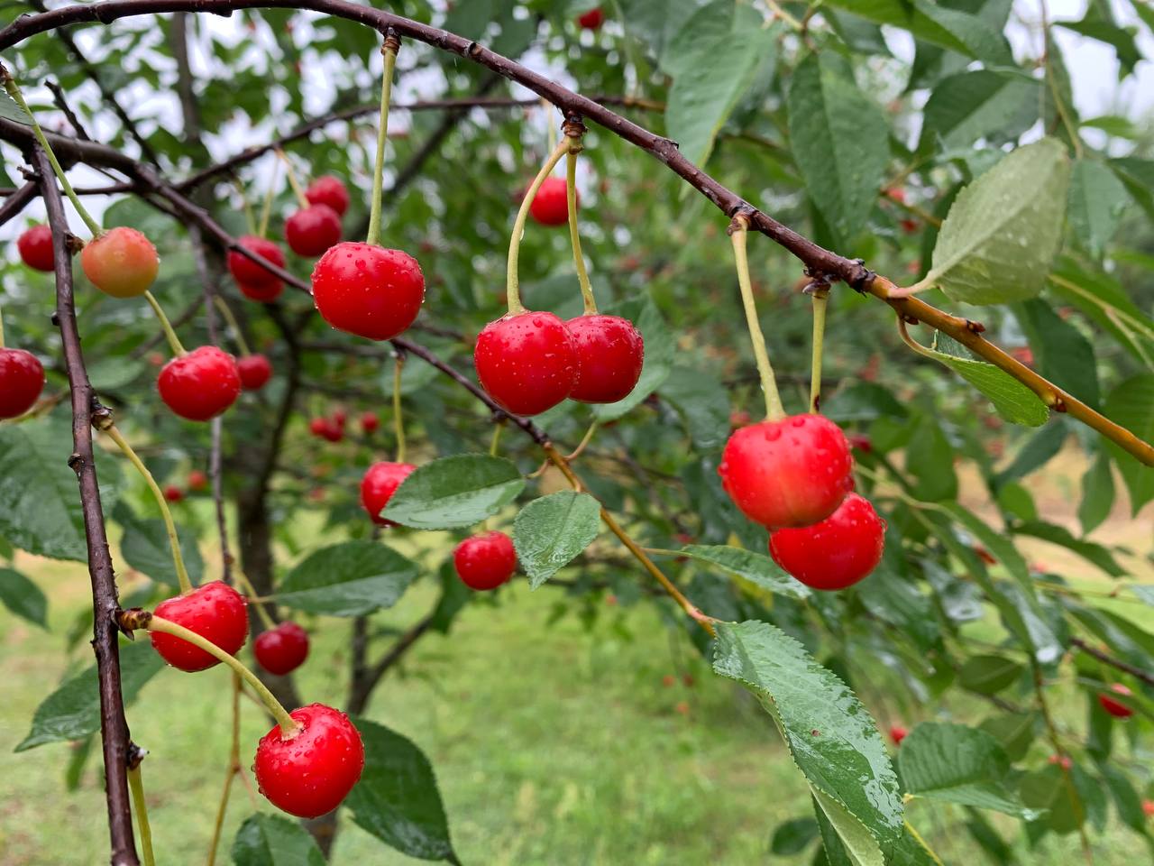 photo 2026 07 03 13 33 51