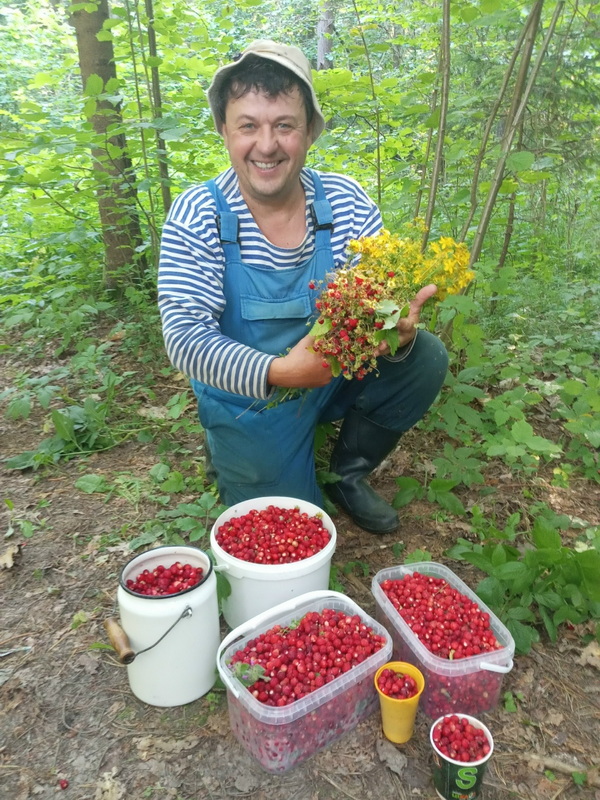 Николай Боровик_2
