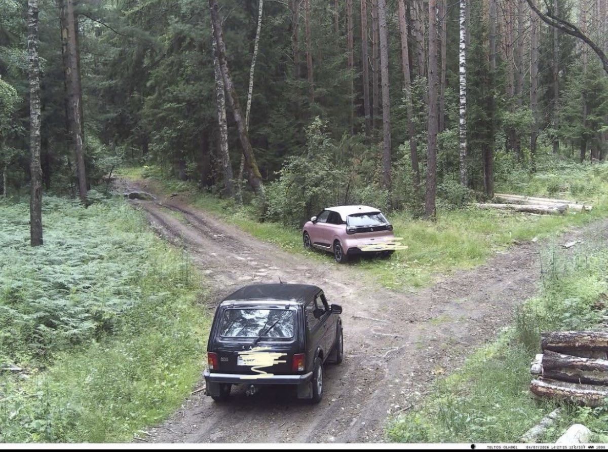 фотоловушка