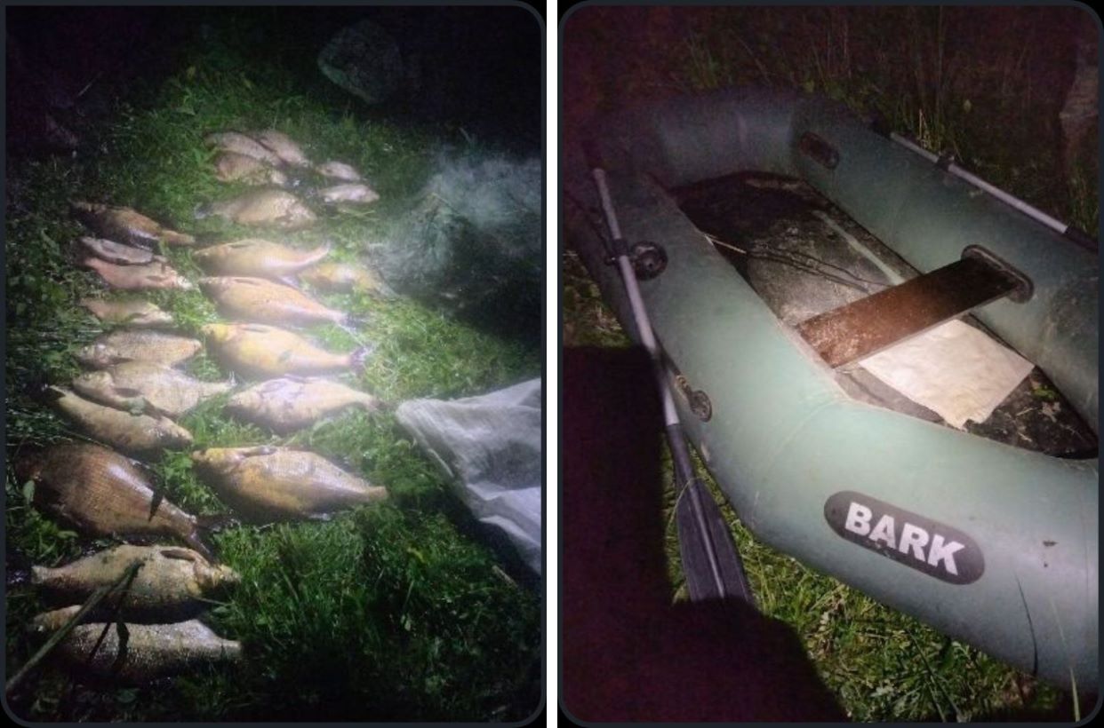 рыба
