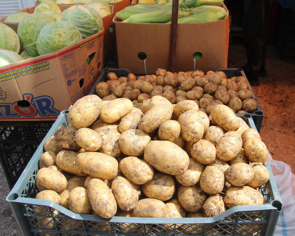 картофель