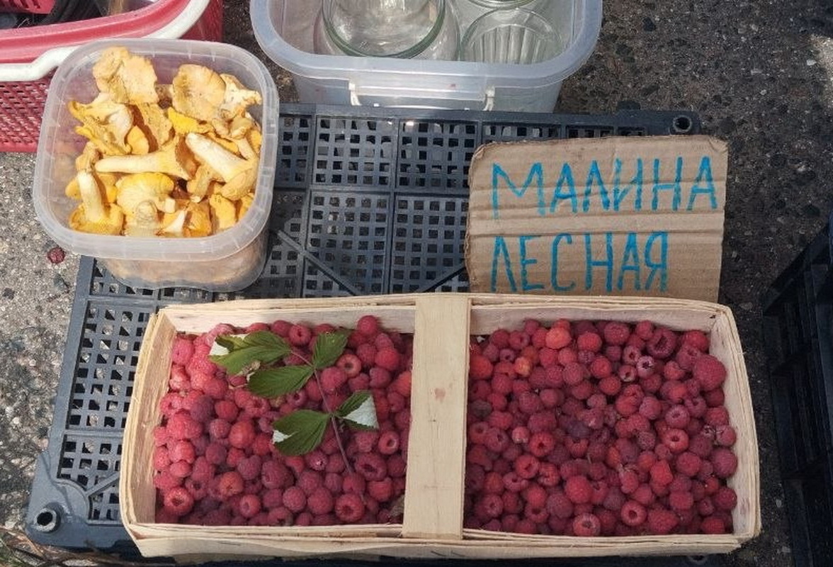 лесная малина