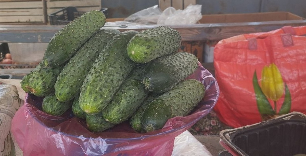 огурцы