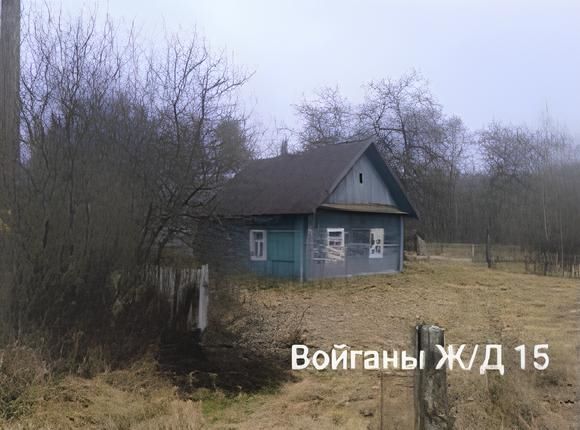 войганы