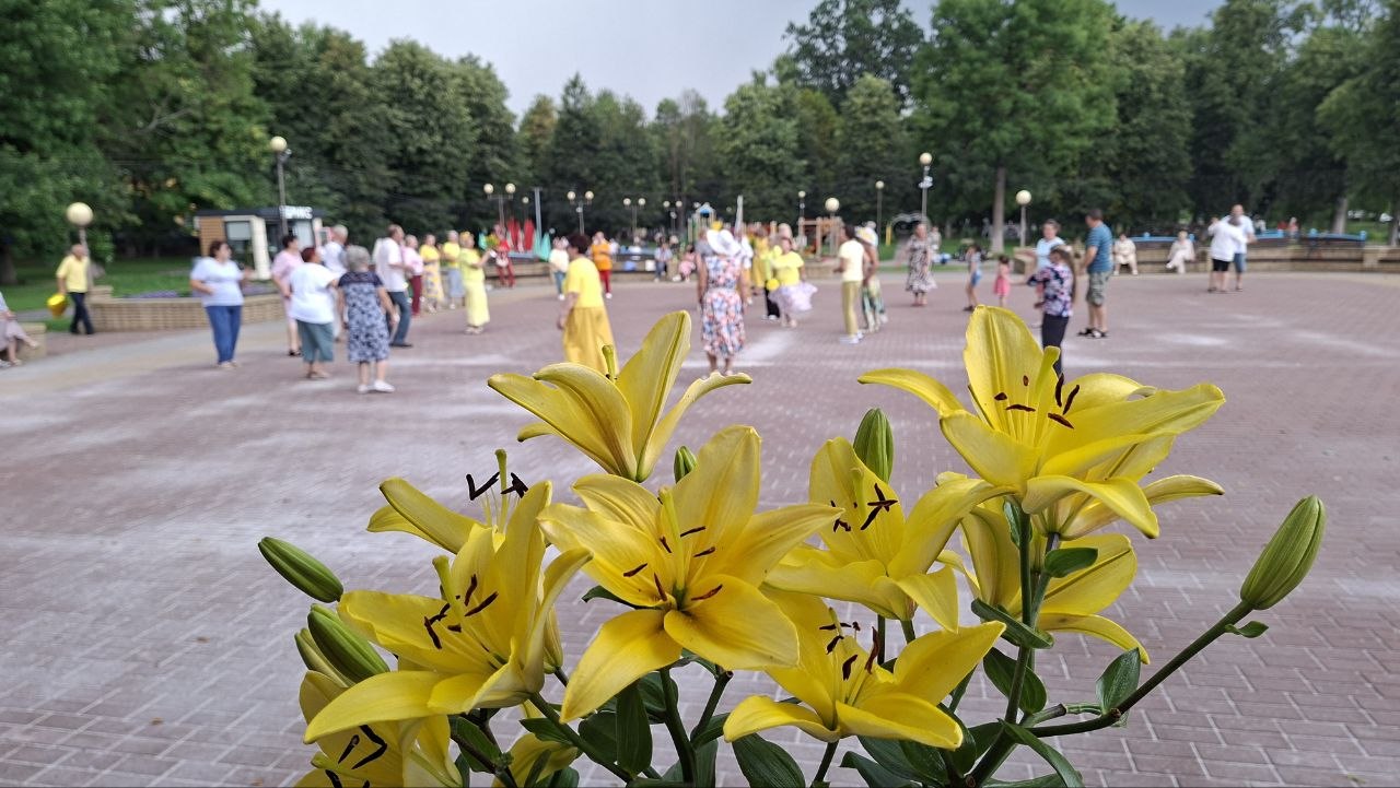 photo 2026 07 19 22 42 18