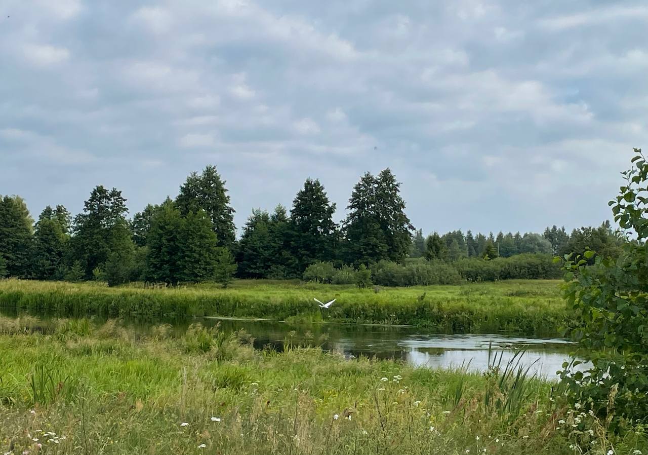 photo 2026 07 30 09 45 43