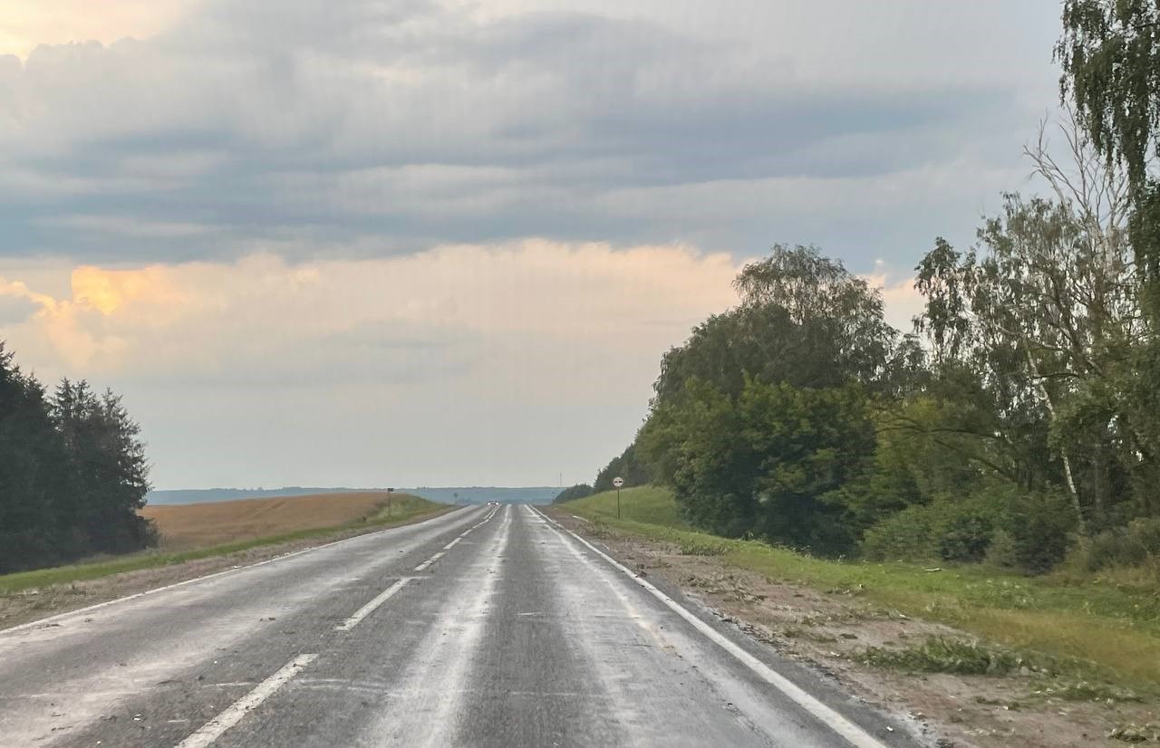 ветки дорога