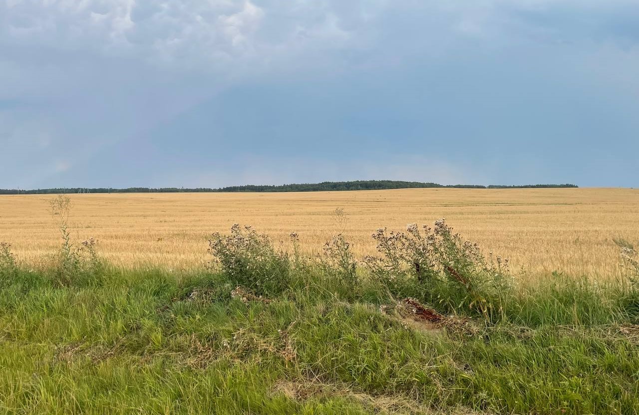 photo 2026 08 01 20 47 16
