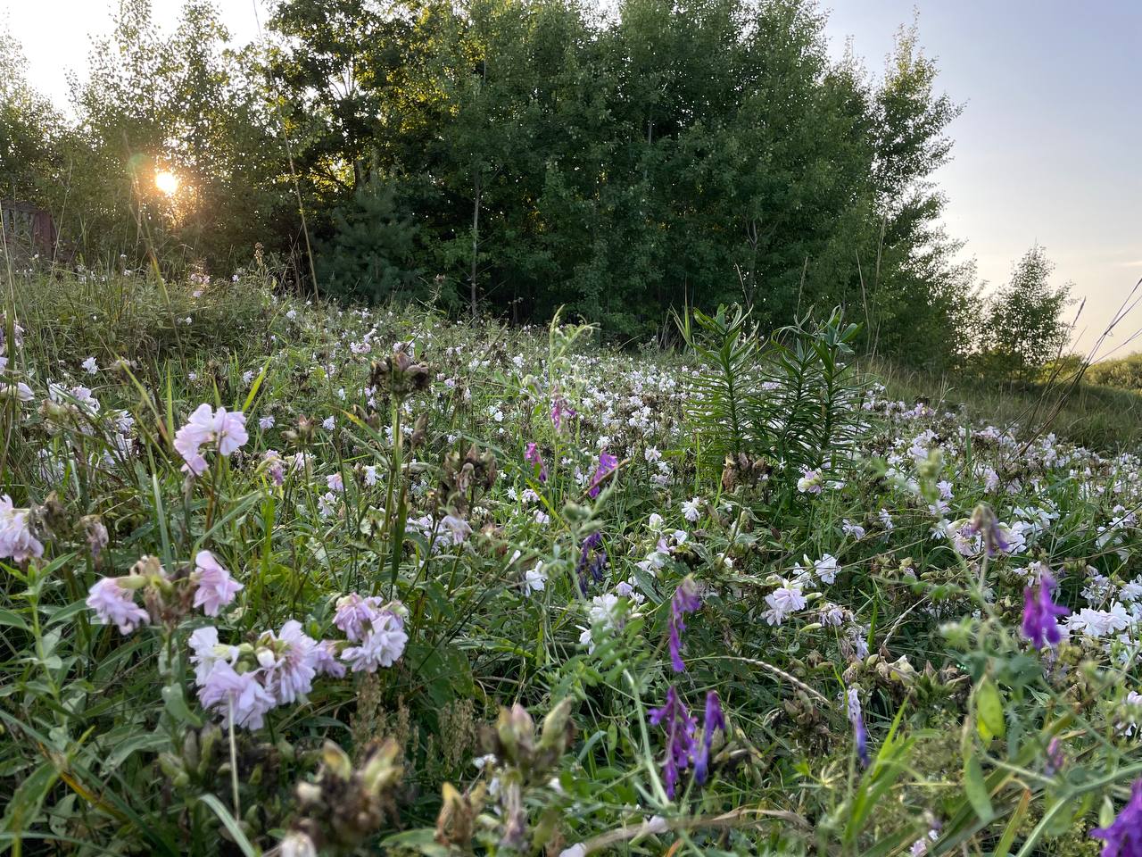 photo 2026 08 03 20 29 27