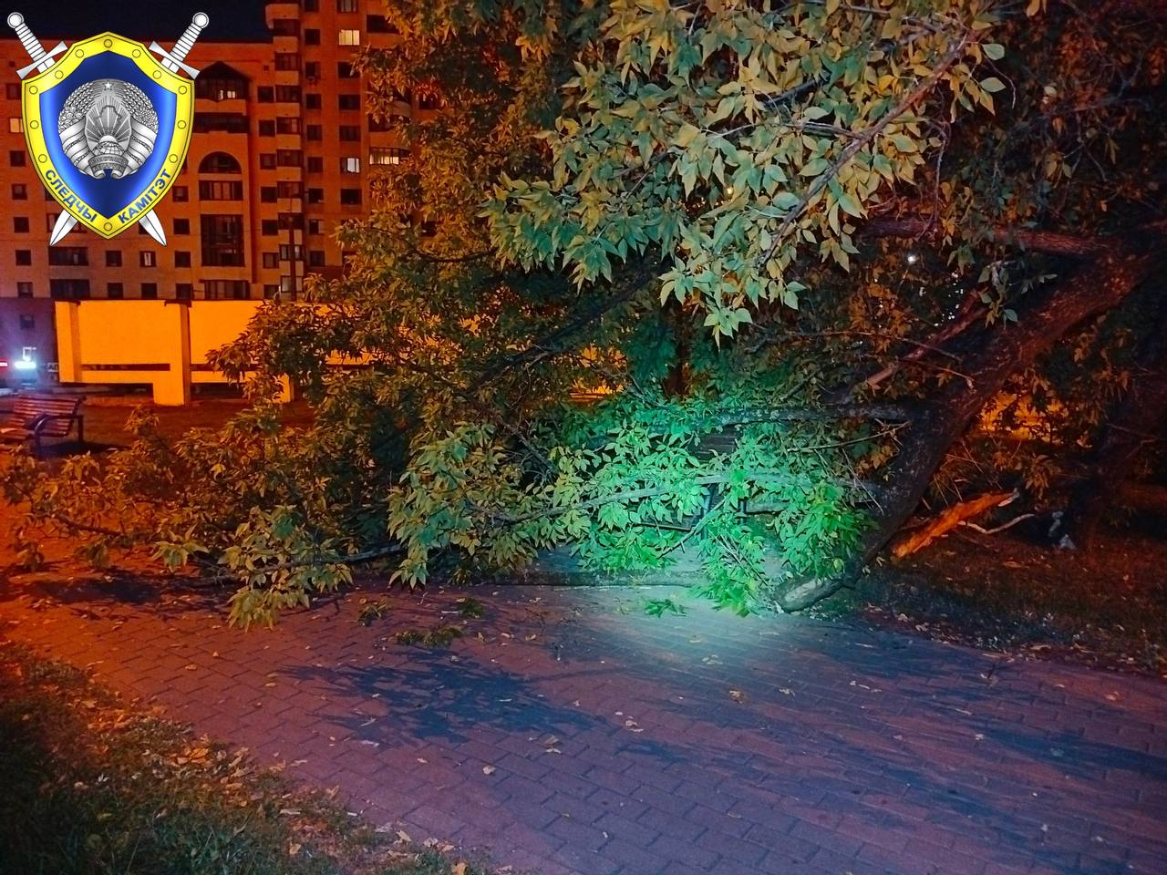 photo 2026 08 06 11 20 11