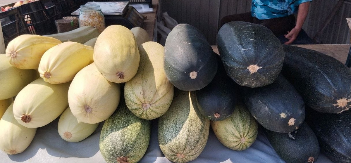 кабачки
