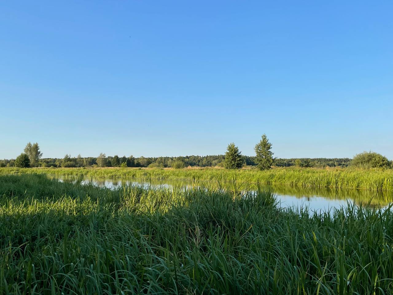 photo 2026 08 03 20 29 27