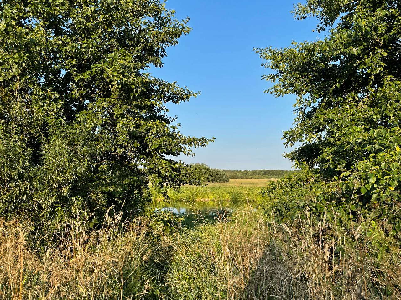 photo 2026 08 03 20 29 30