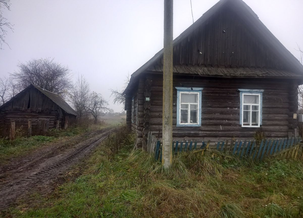 лудчицы