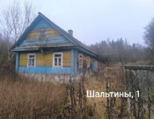 шальтины 1
