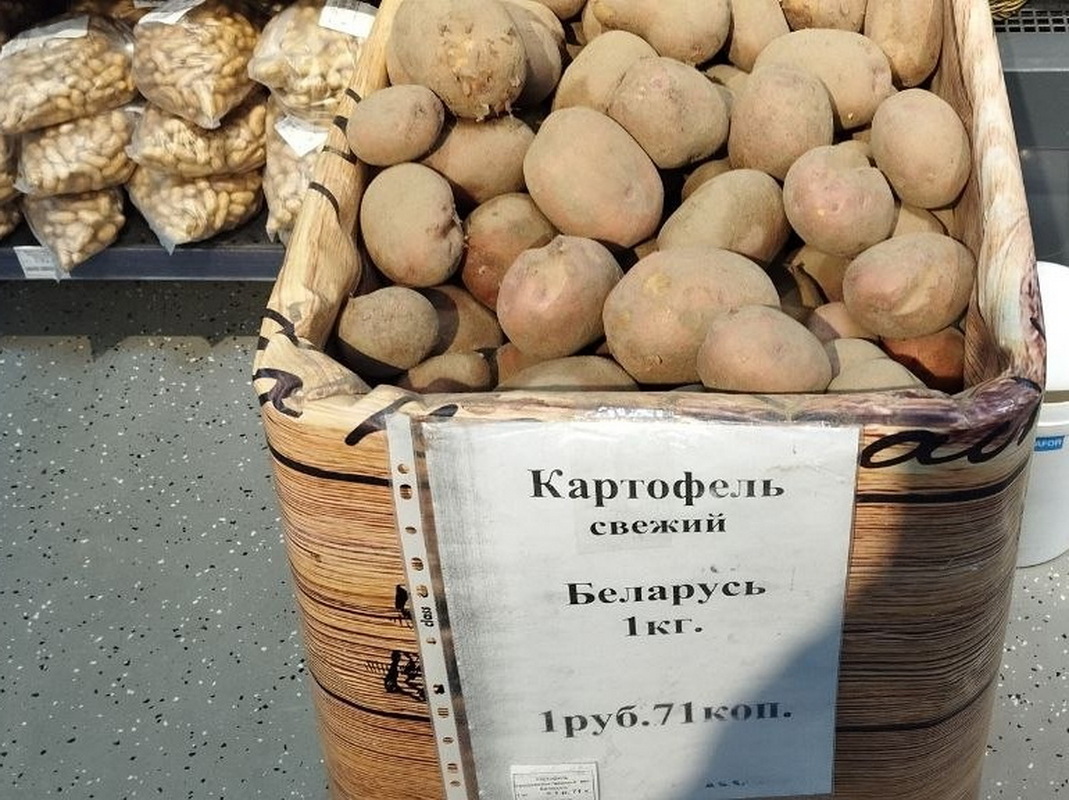 картофель