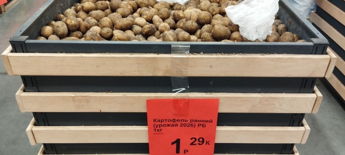 картофель