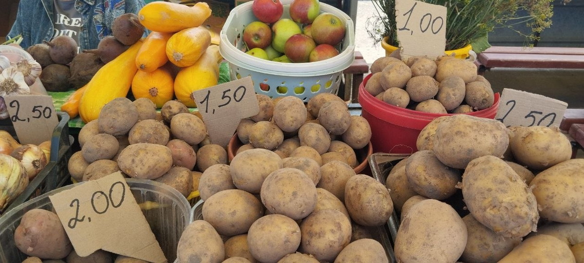картофель