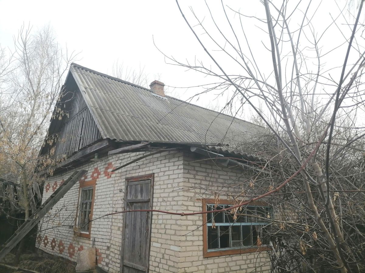 василевичи