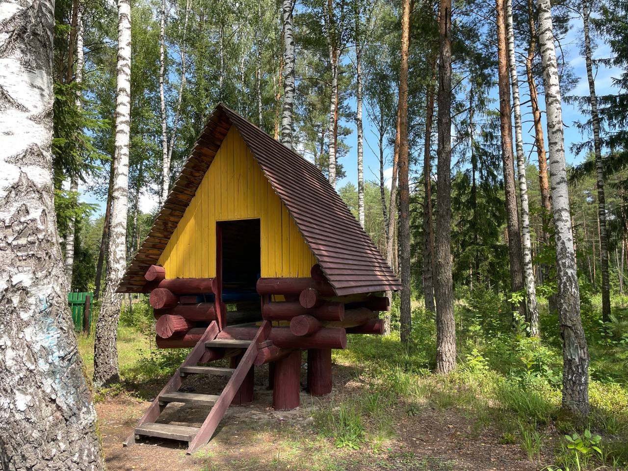 лес