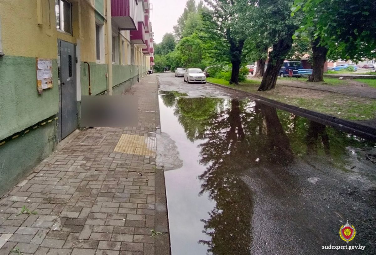 лужа