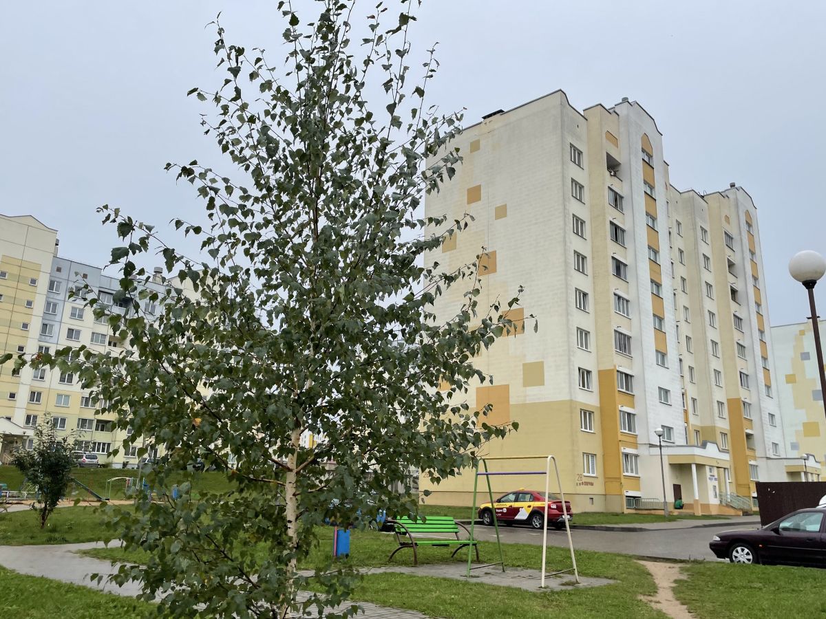 слоним
