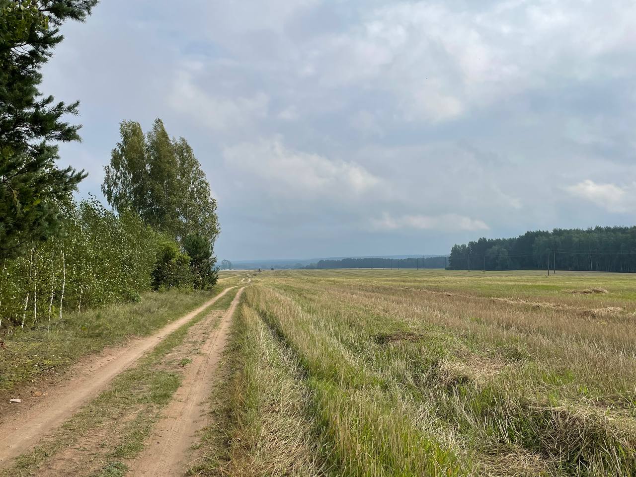 погода