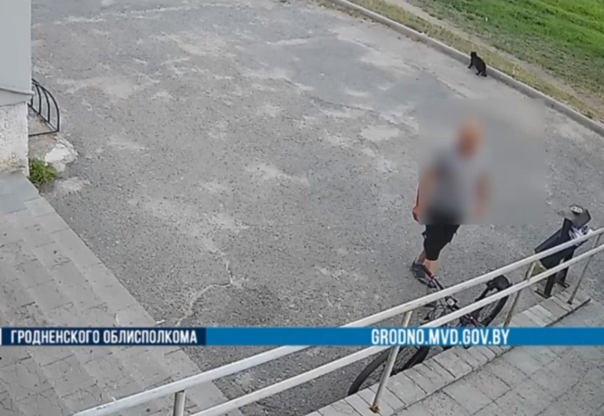 кража велосипеда в мостах