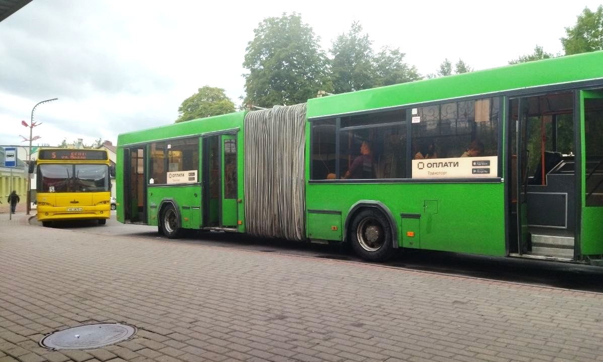 автобус 5