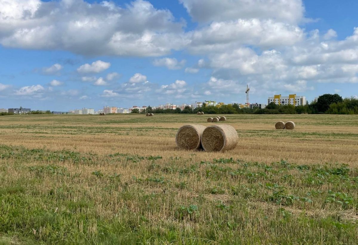 погода