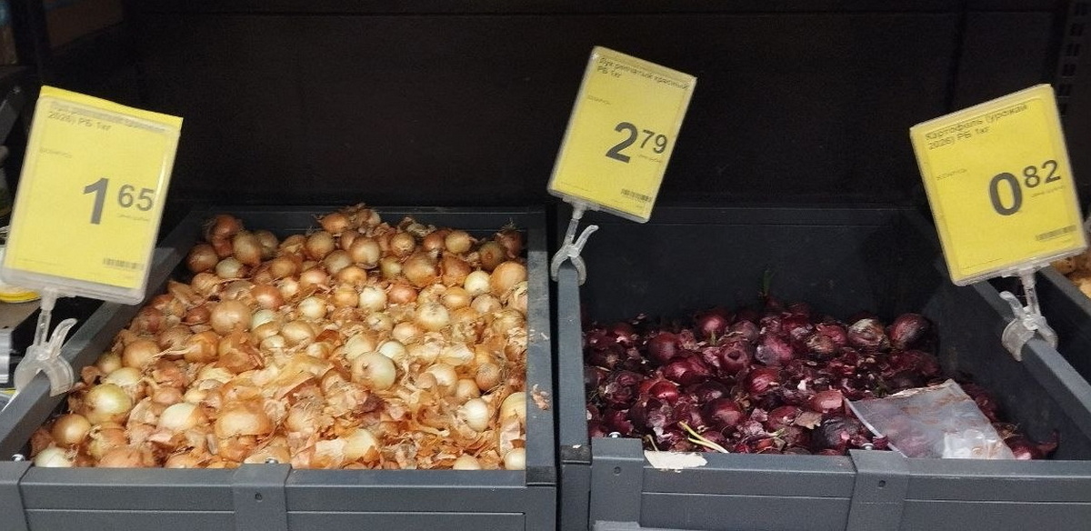 лук репчатый