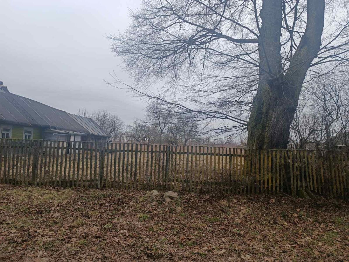 подлипцы
