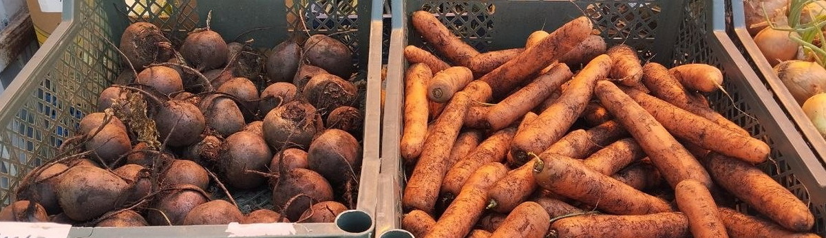 свёкла и морковь