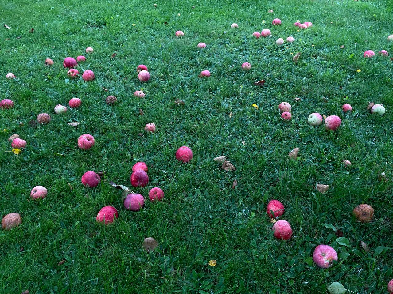 photo 2026 09 04 13 24 54