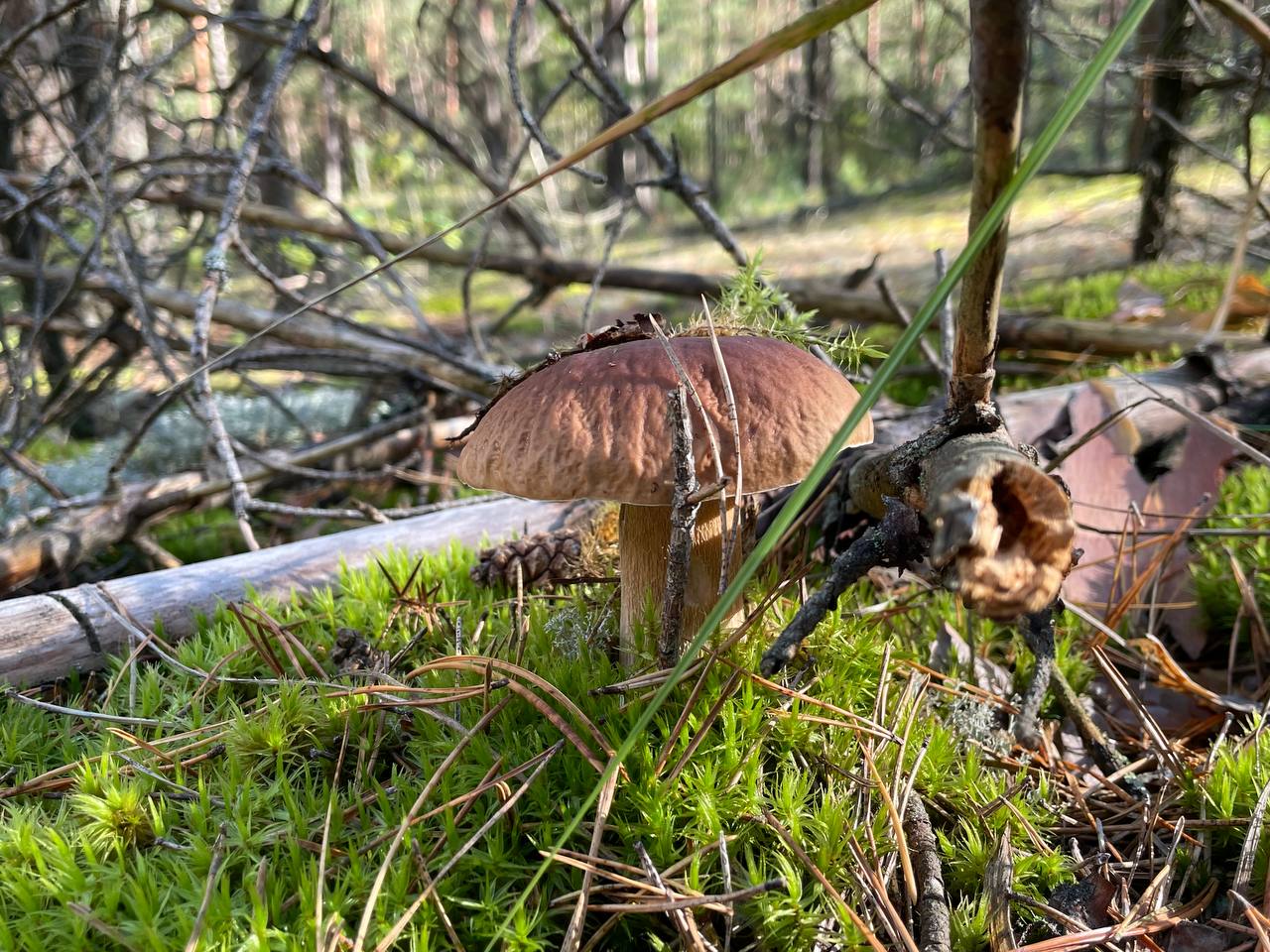 photo 2026 09 06 19 17 08